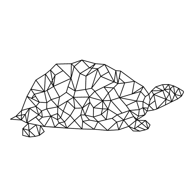 Turtle Polygon