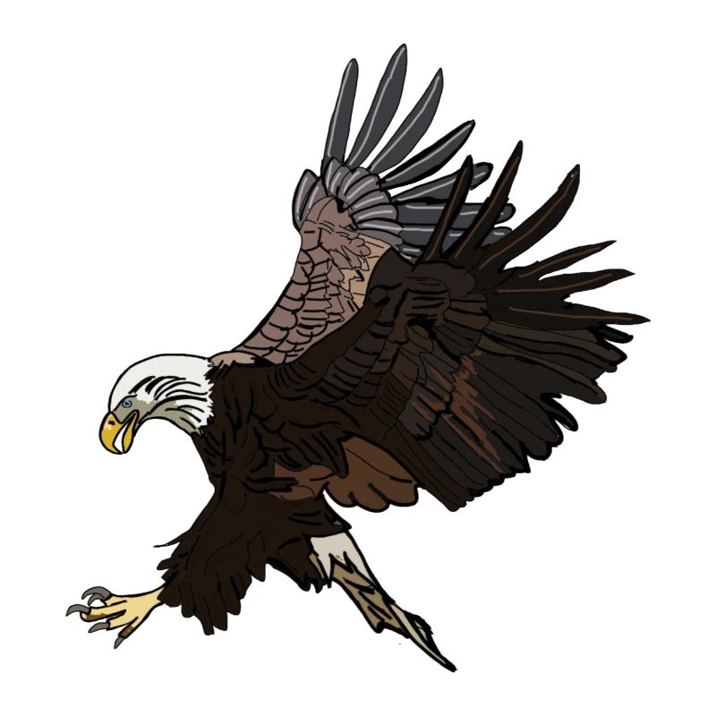 Eagle Adler