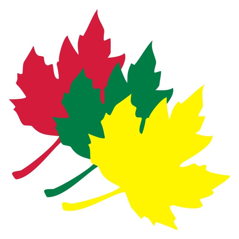 maple leaf