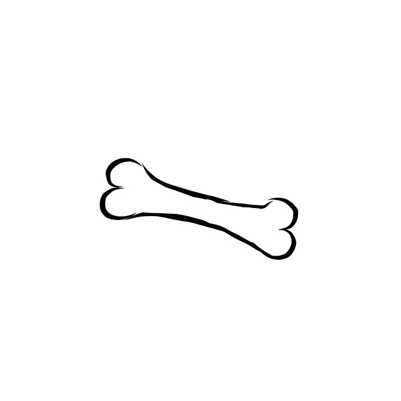 Bone bone