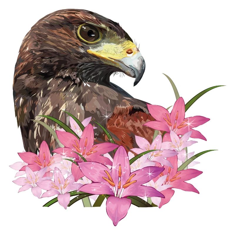 harris hawk