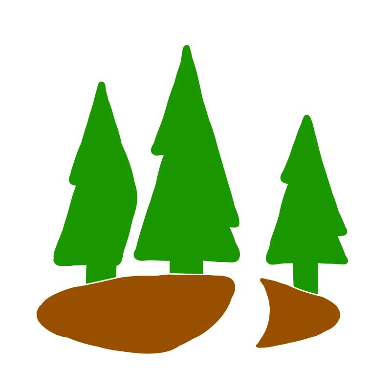 Conifer christmas tree fir tree forest fir tree