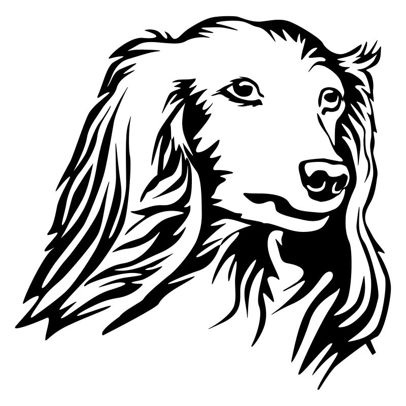 Dachshund head