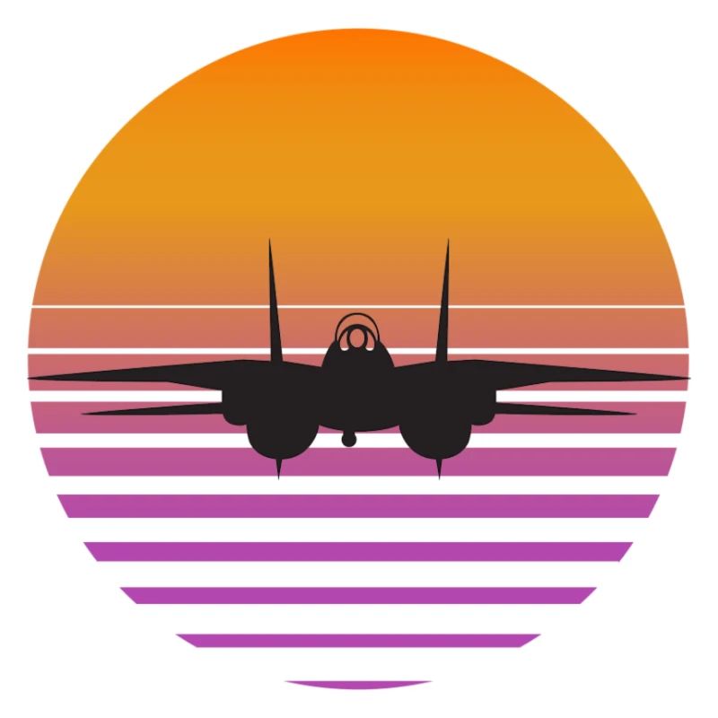 Tomcat Sunset bk