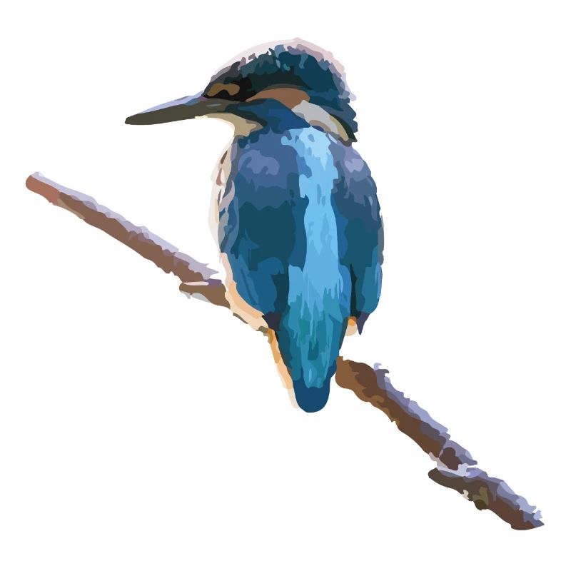 Oiseau de glace