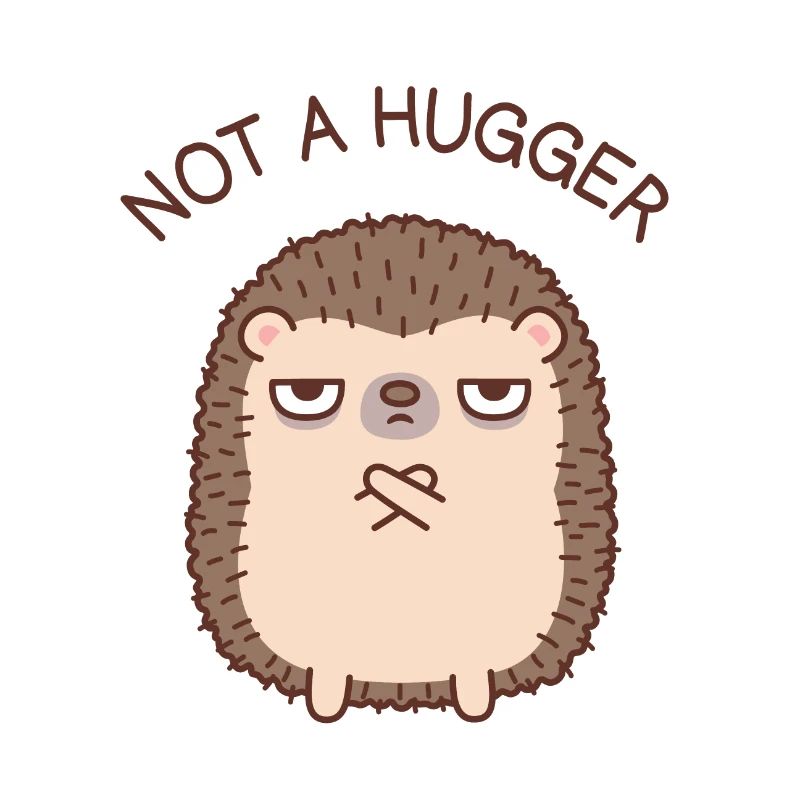 Funny Hedgehog Not A Hugger Doodle