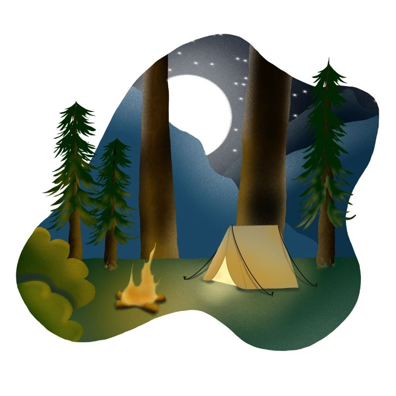 Moonlit night in forest camping