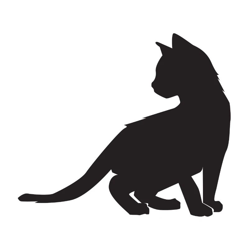Conception de chaton
