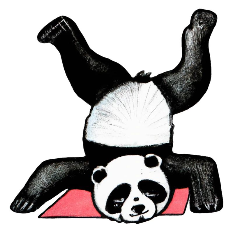 Panda Akrobat auf Matte