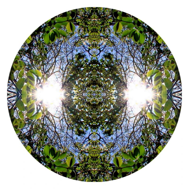 Nature Mandala Source à Nbg Erlenstegen