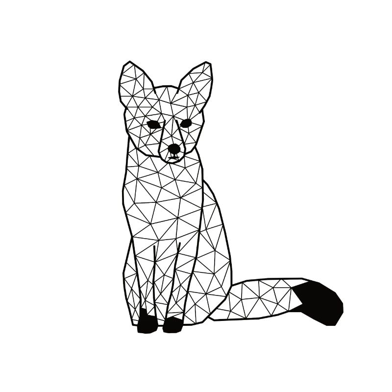 Foxx GeomeTRIX