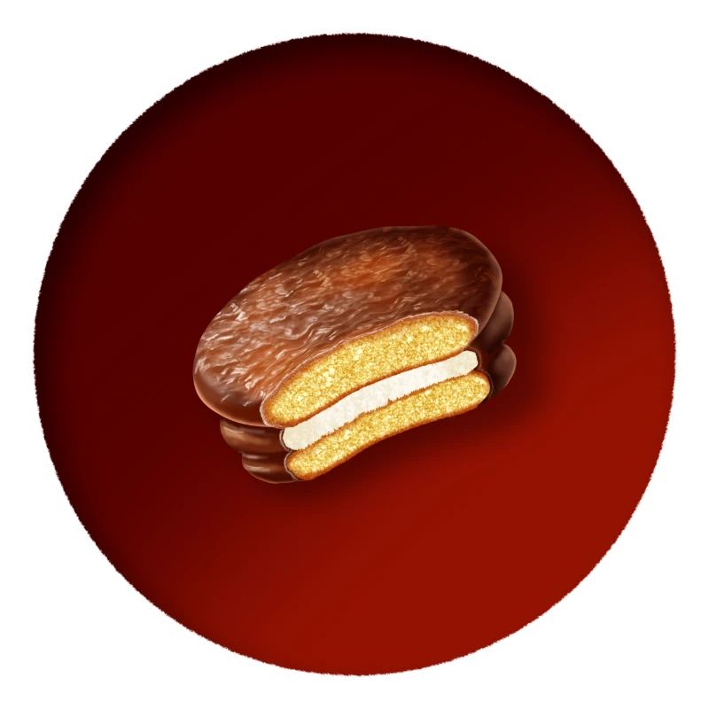 a delicious biscuit with chocolate