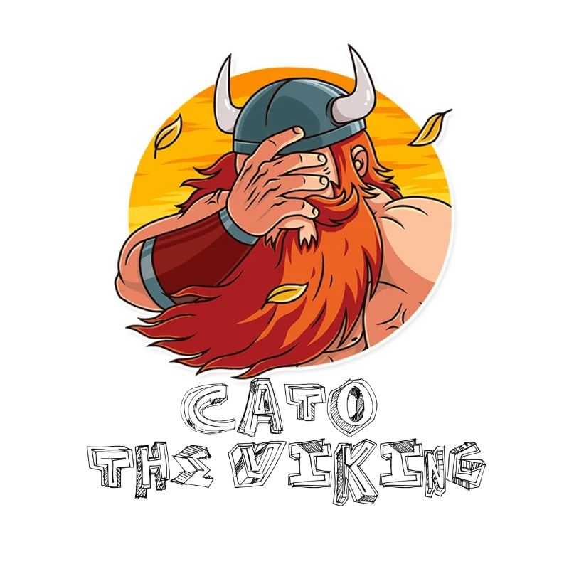 FacePalm Viking