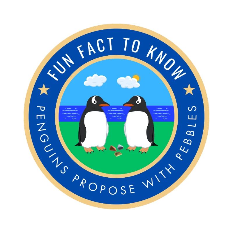 Penguins propose with pebbles