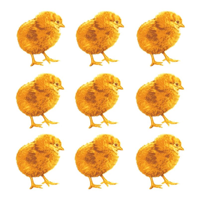 Chick Pattern for Spring and Nature