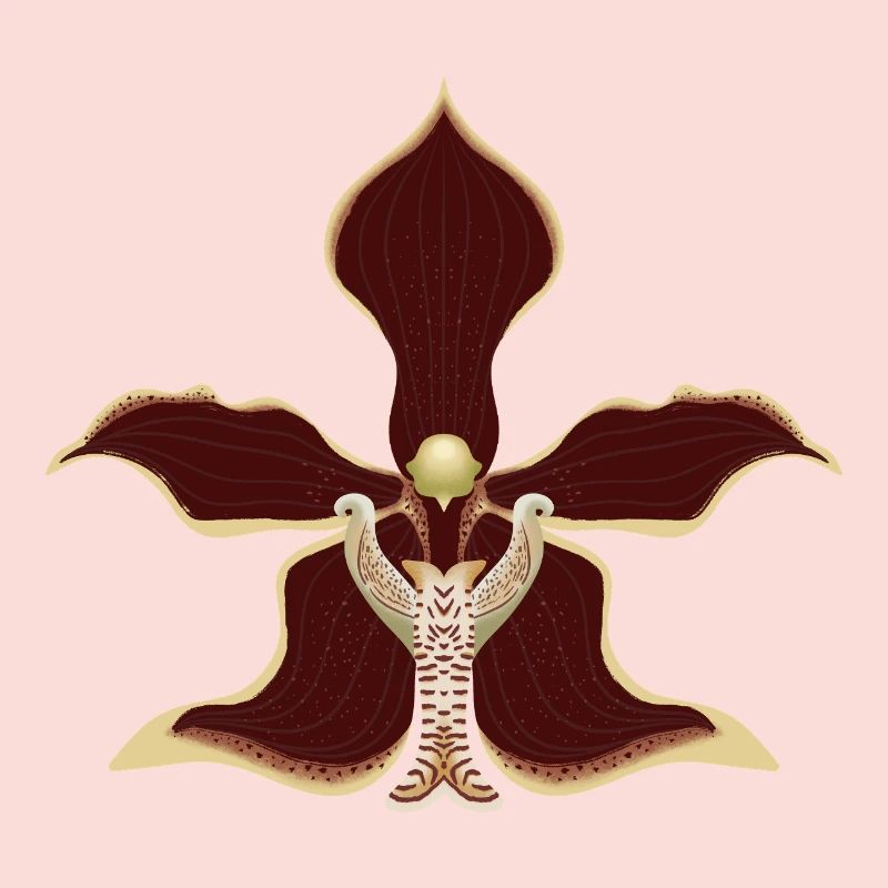 fleur d’orchidée