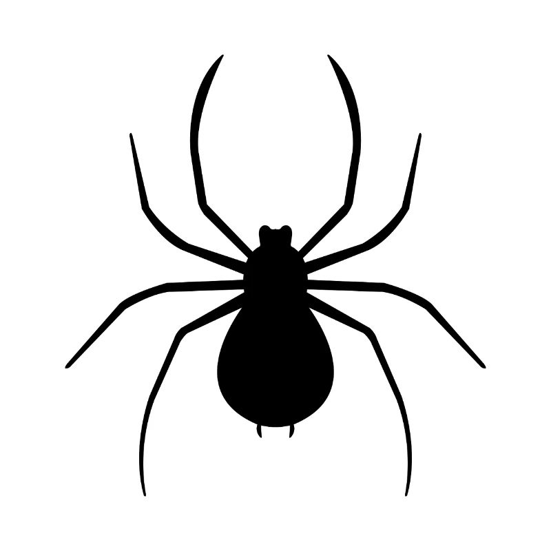 spider