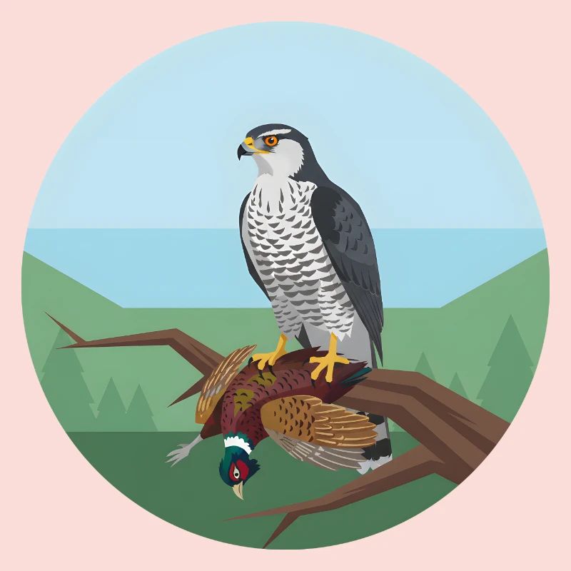 Épervier avec faisan