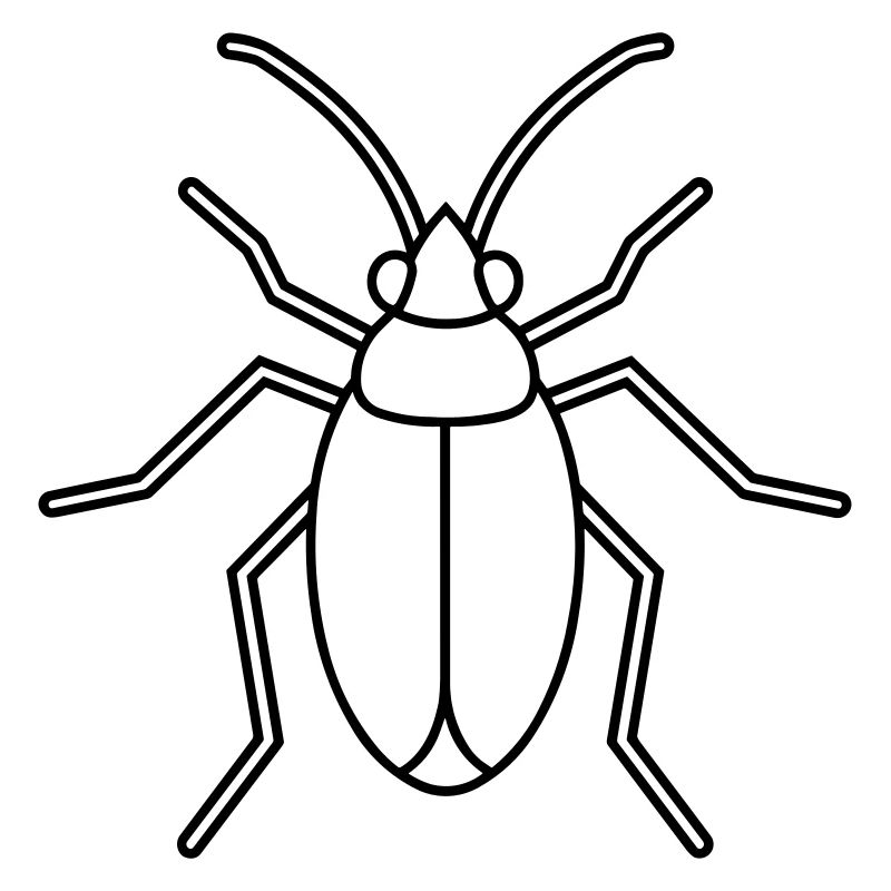 Aphid
