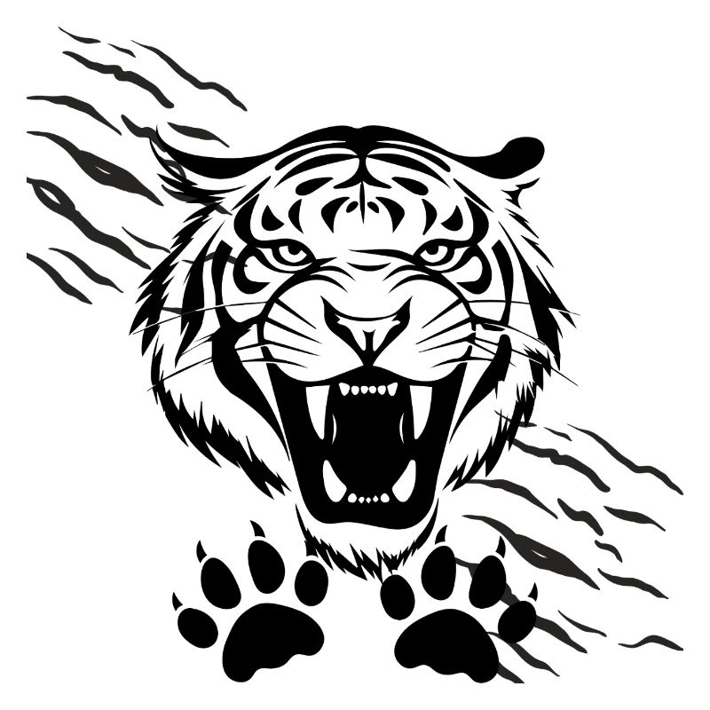Arched Shadows and Tiger