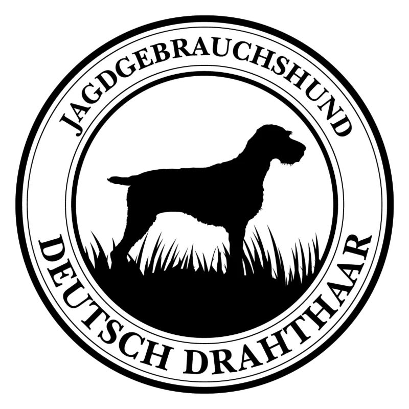 Deutsch Drahthaar Jagdgebrauchshund Jagdhunde