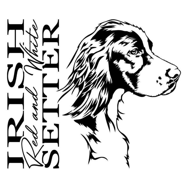 Irish Red and White Setter Jagdhund Hunde Wilsigns