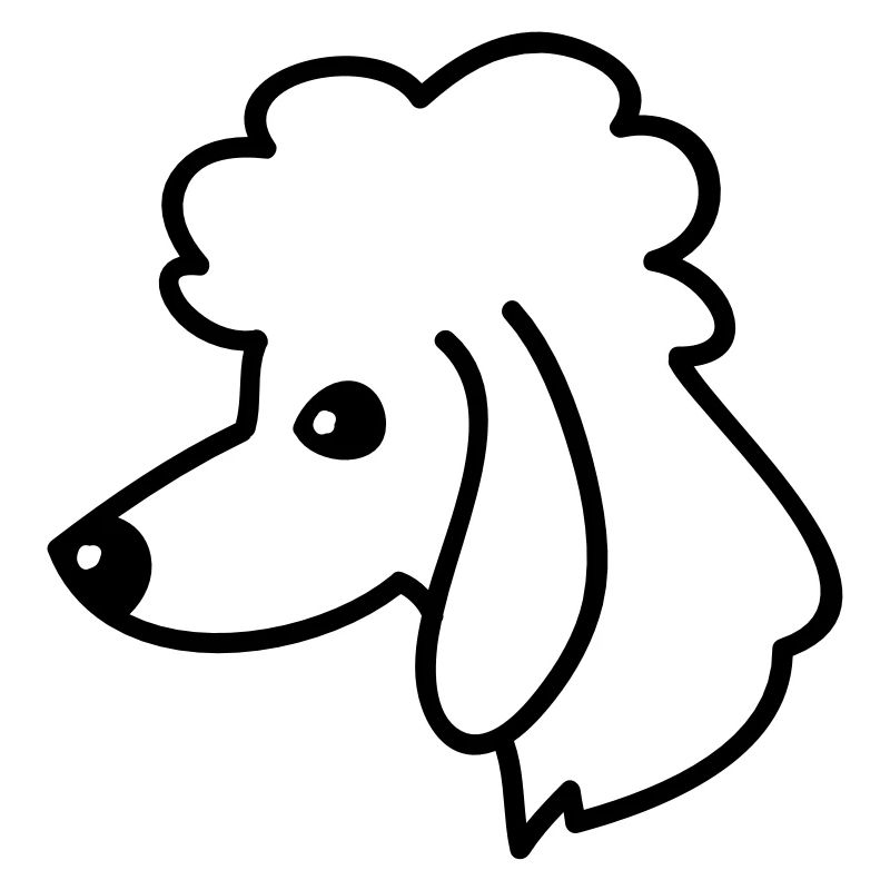 Pudel Portrait