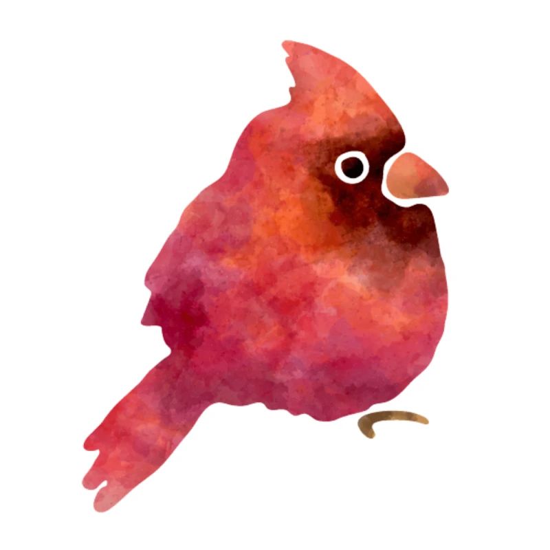 Oiseau mignon