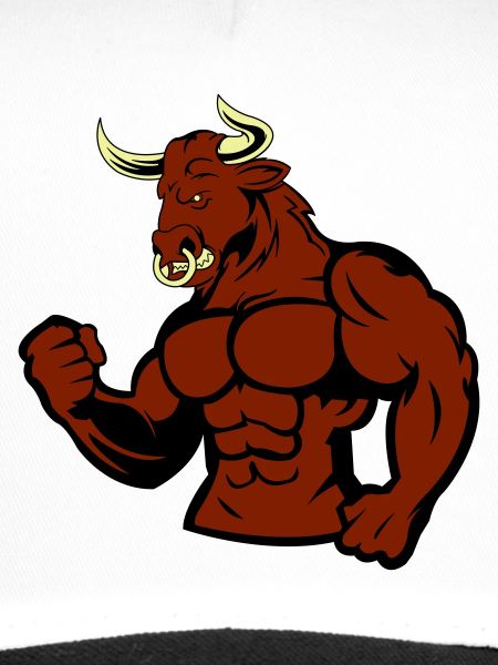 Muscular Bull Taurus