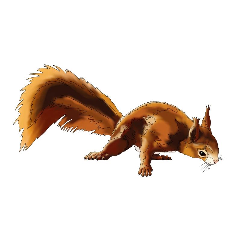Eichhörnchen 4