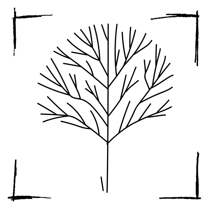 Arbre (noir) - 'C’est la nature'