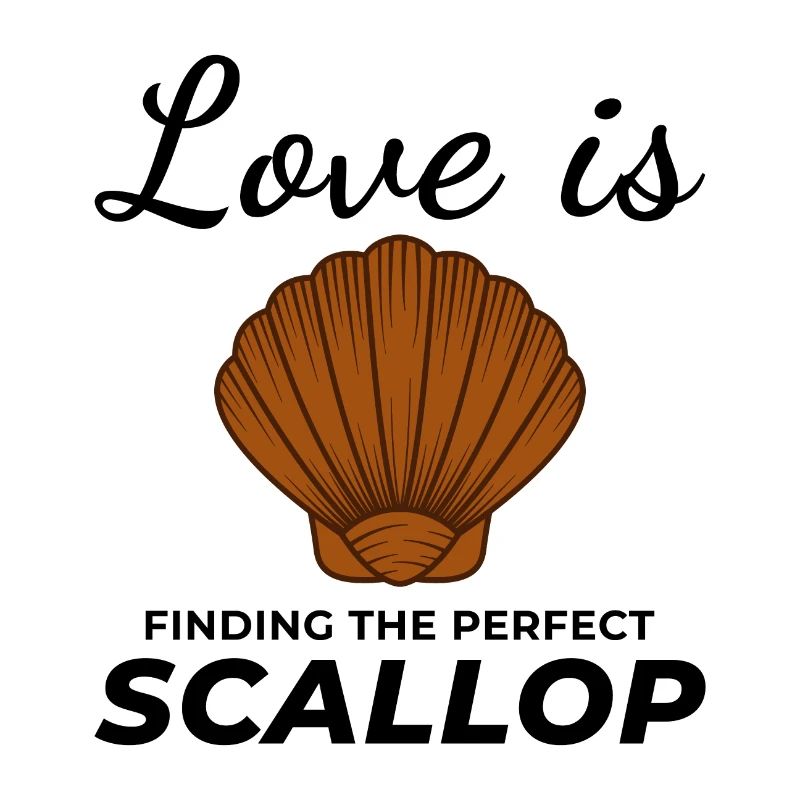 Scallop Seashells Collector Beachcomber Shellfish