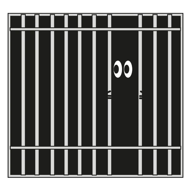 Bars, prison