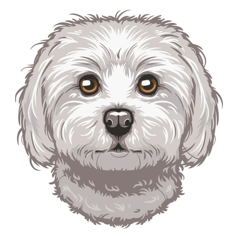 Maltese