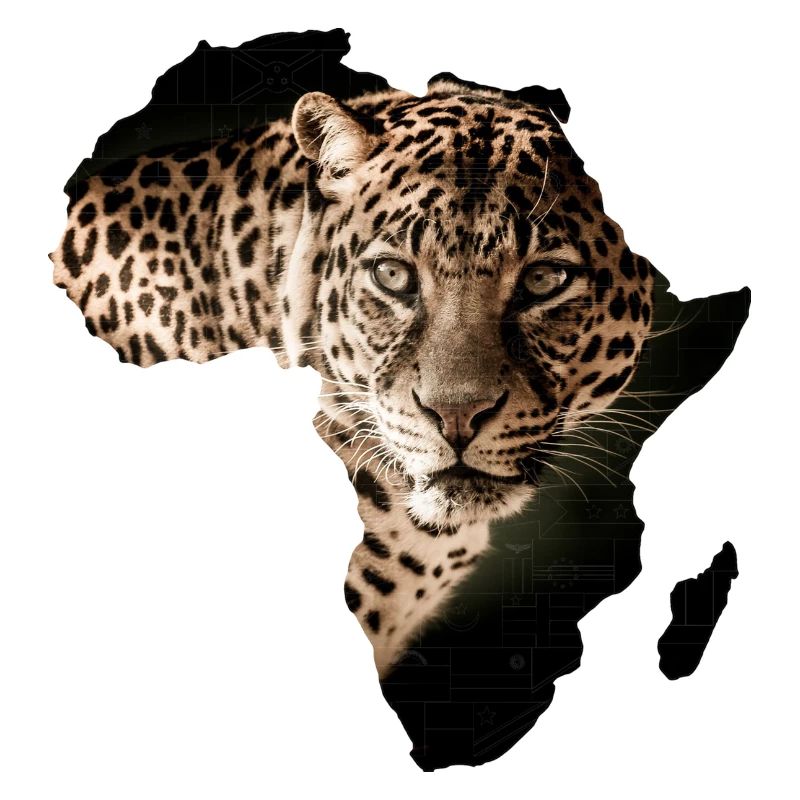 Afrika Leopard
