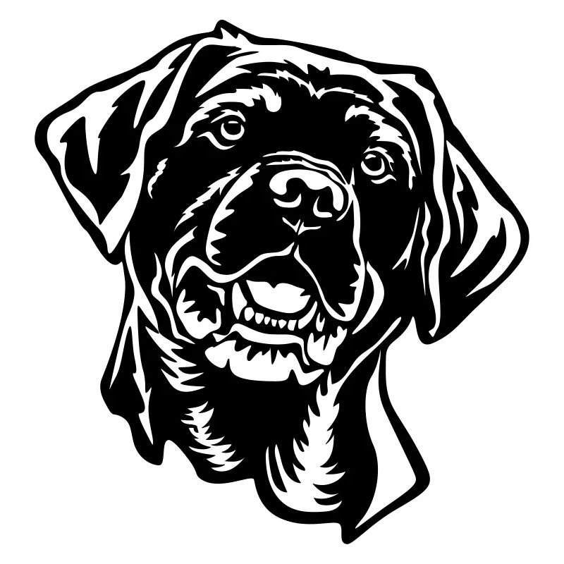 Labrador Head