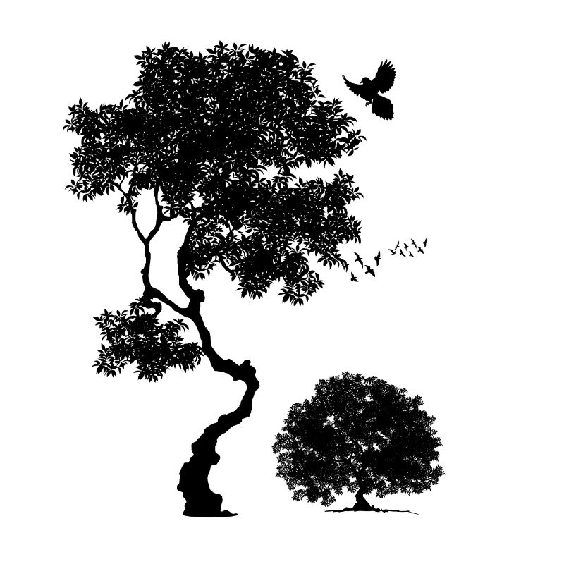 Forest, Tree birds, Nature, Men's Graphic, Trees