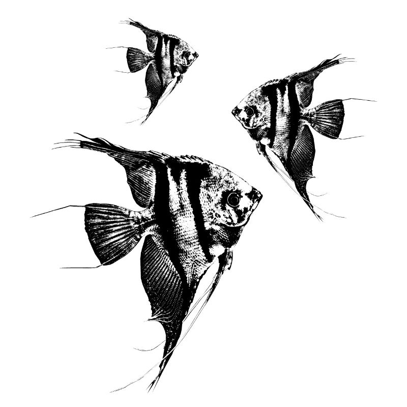 Scalar swarm / Scalars / Graph