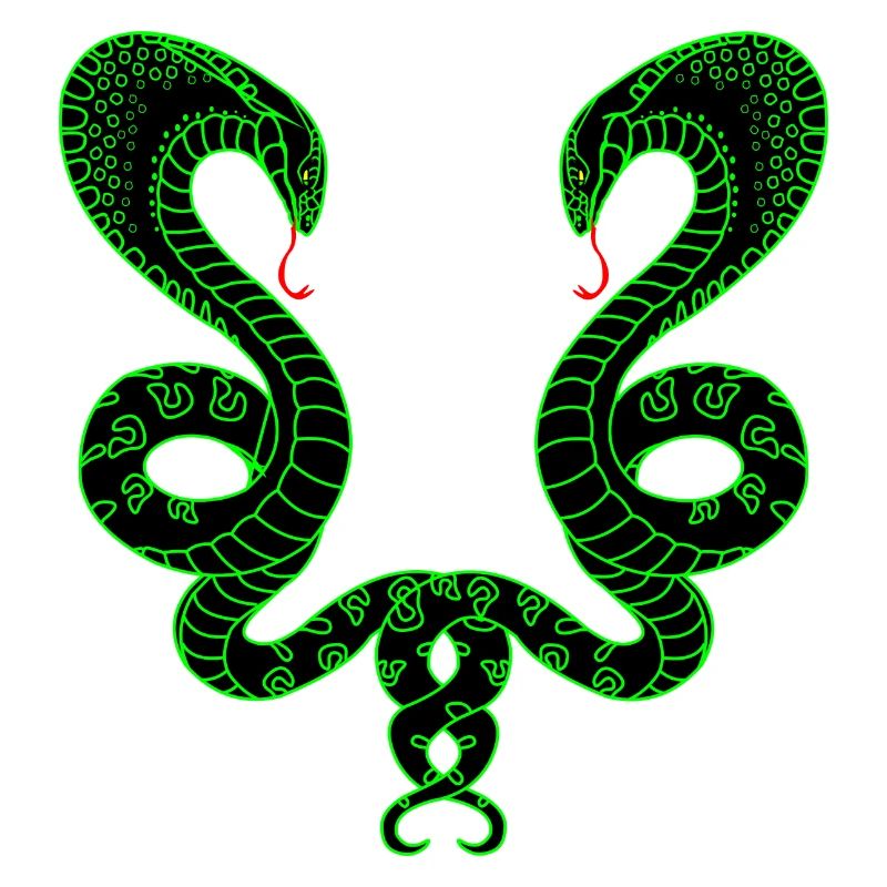 Two green snakes
