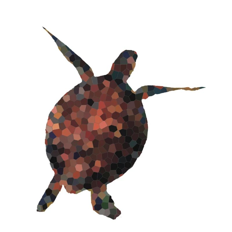 Polygon Schildkröte – World Turtle Day