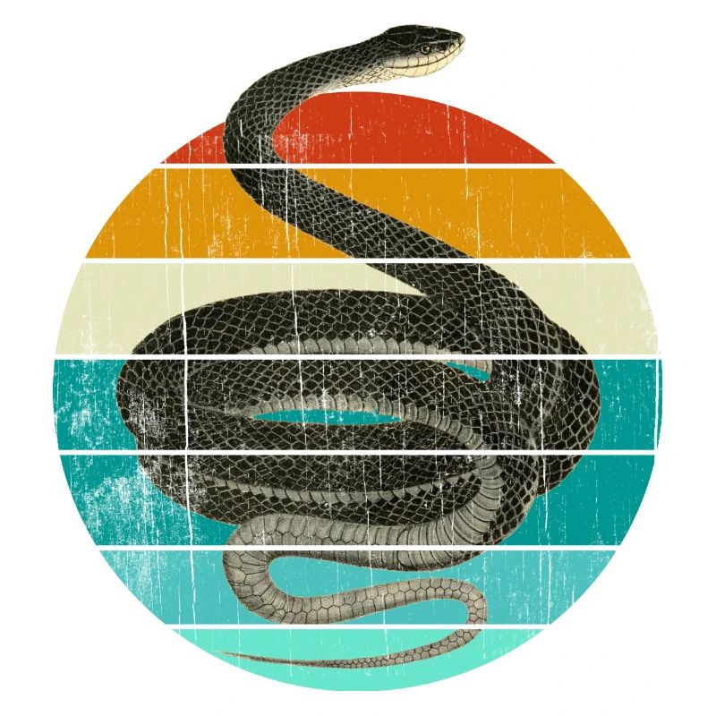 Coluber Constrictor serpent noir serpent