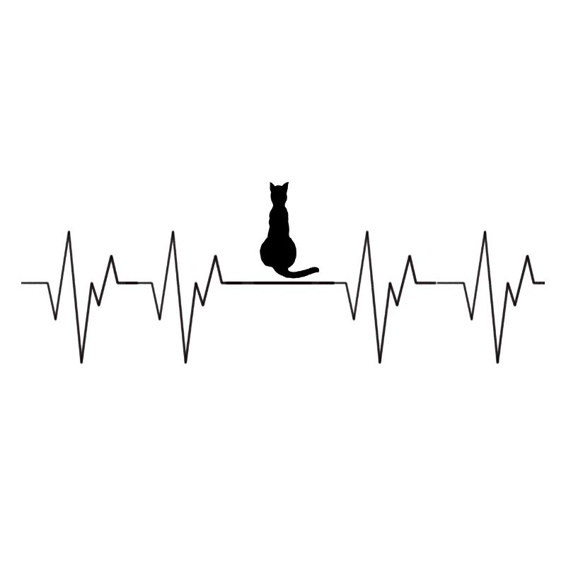 Chat Chat Heartbeat Heartbeat Animaux Amour Amour à