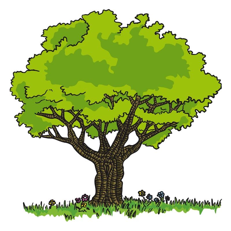 Dessin arbre pré et fleurs