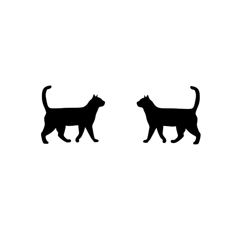 chat