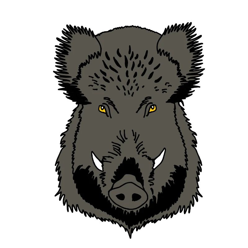 Wildschwein Kopf