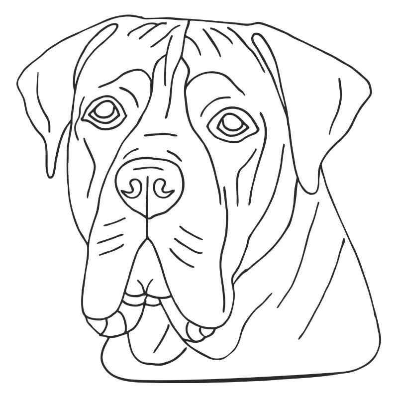 Boerboel
