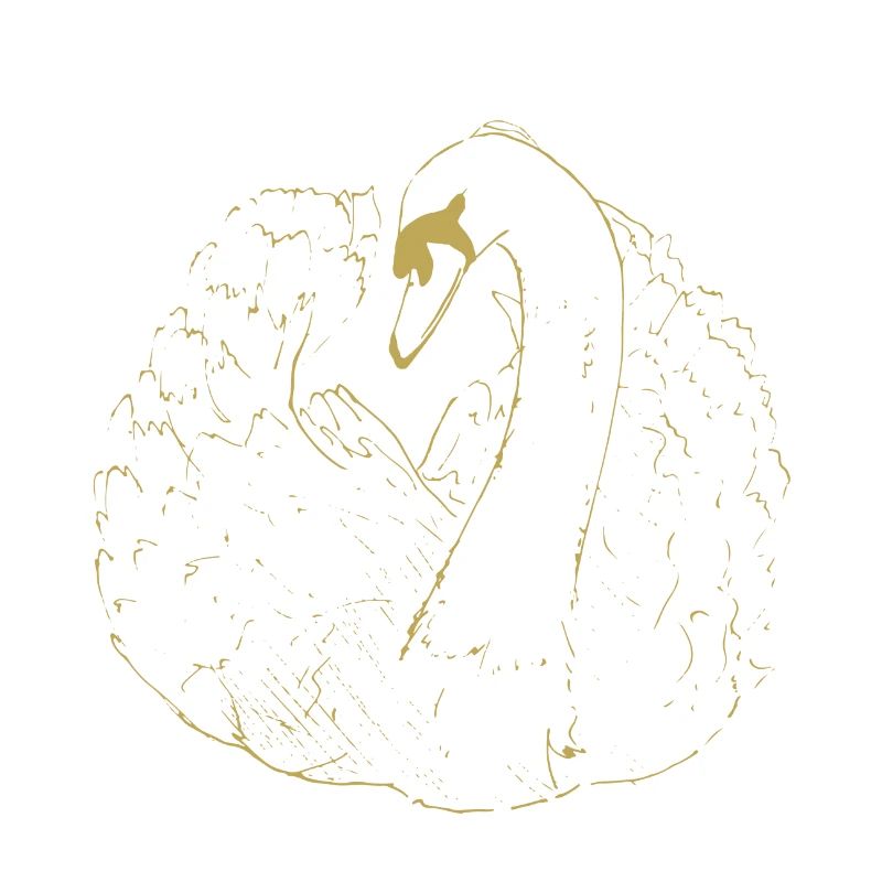 Illustrierte Designs mit Schwan