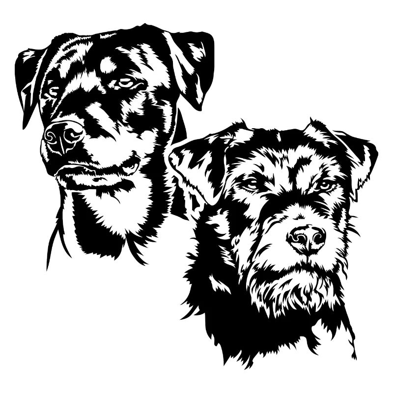 Deutscher Jagdterrier Jagdhunde Portrait Wilsigns
