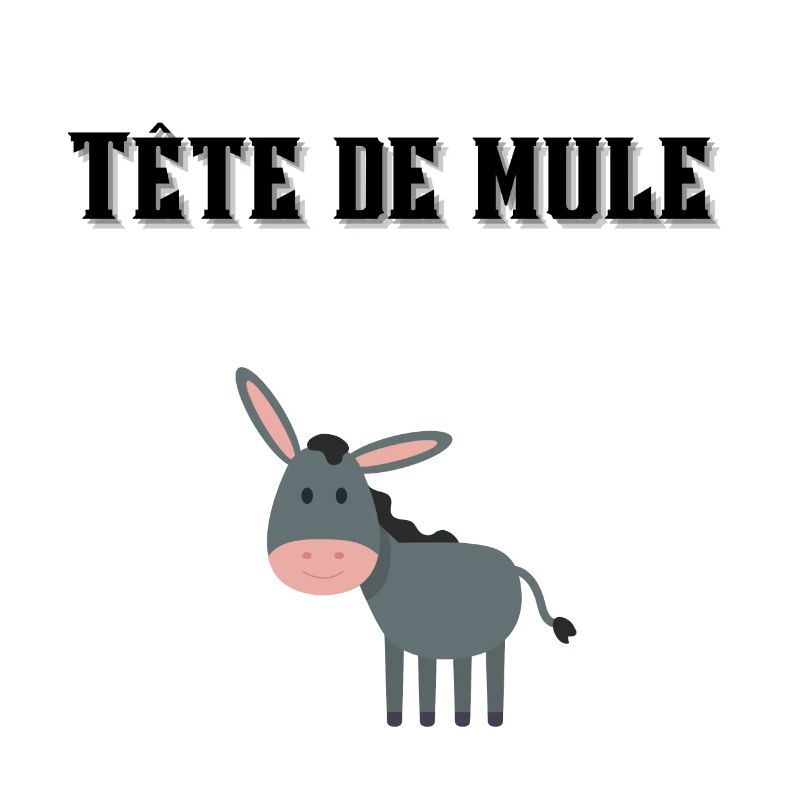 Tête de mule ! 🐴🐎