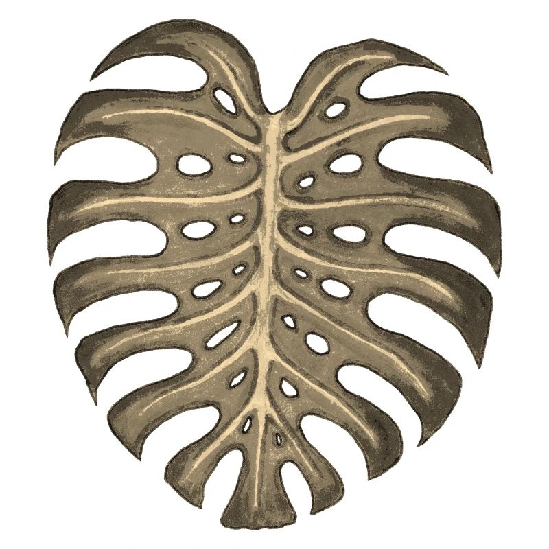 Monstera